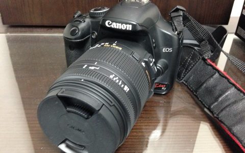 SIGMA 18-250mm F3.5-6.3 DC MACRO OS HSM〜望遠と通常の2本を1本でまかなえるヤツがオススメです〜