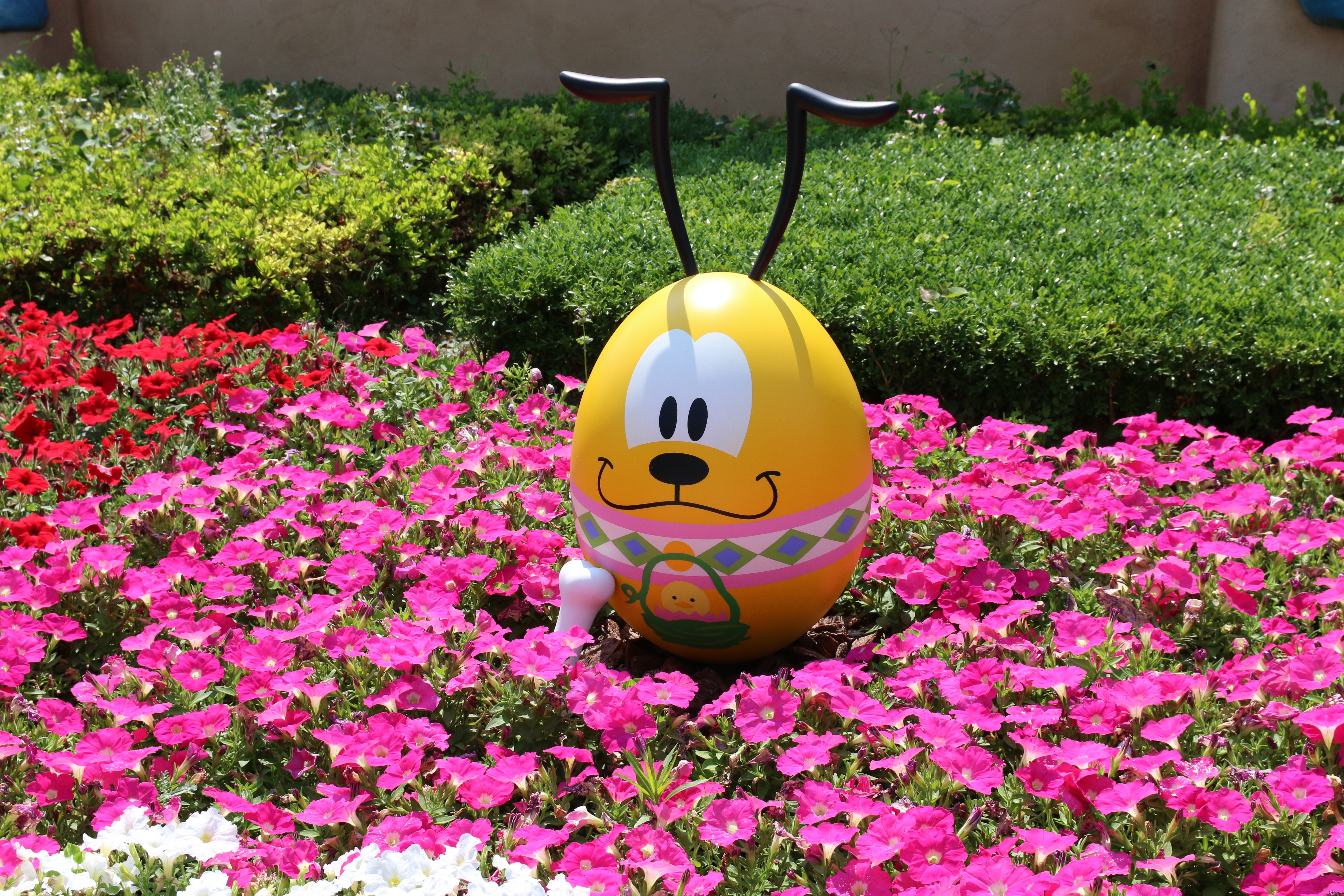 ネタバレあり 15年 東京ディズニーランドのエッグハント 第3期のスタンダートコース エキスパートコース両方やってきて見事クリアしてきた Life Is Run ネタバレあり 15年 東京ディズニーランドのエッグハント 第3期のスタンダートコース エキスパートコース両方やってきて見事クリアしてきた Life Is Run