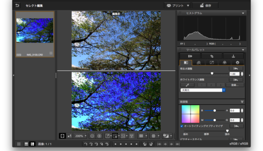 DPP(Digital Photo Professional)4 CanonのRAW現像ツール　これもこれで使いやすい