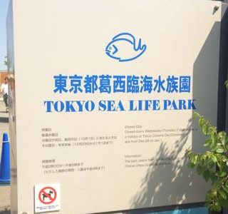 葛西臨海水族園でマグロ遊泳をみよう！葛西臨海公園での遊びにあきたらこちらに。