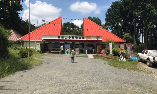 宝登山に行ったら宝登山小動物公園にも寄ろう。山の中の不思議な動物園を体験できるよ